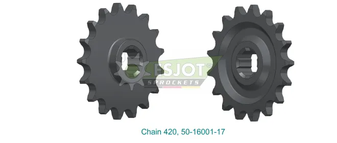 Produktbild Ritzel 50-16001-17