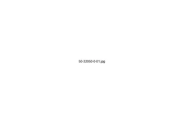 Produktbild Kettenrad 50-32050-0