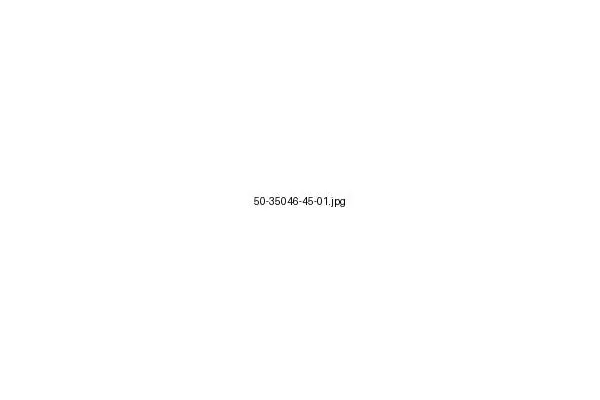 Produktbild Kettenrad 50-35046-45