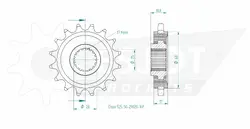 Produktzeichnung Ritzel 50-29020-16P