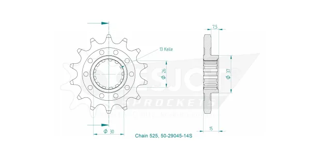 Produktzeichnung Ritzel 50-29045-14S