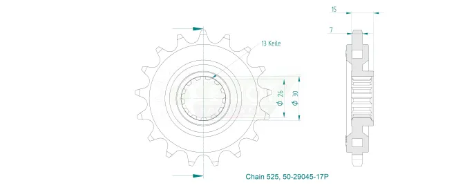 Produktzeichnung Ritzel 50-29045-17P