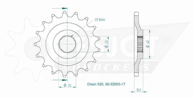 Produktzeichnung Ritzel 50-32055-17